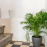 La Sastreria Vakantiehuis Pollença