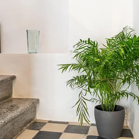 Holiday home La Sastreria Pollenca